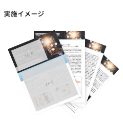 ホワイトペーパー制作オプション